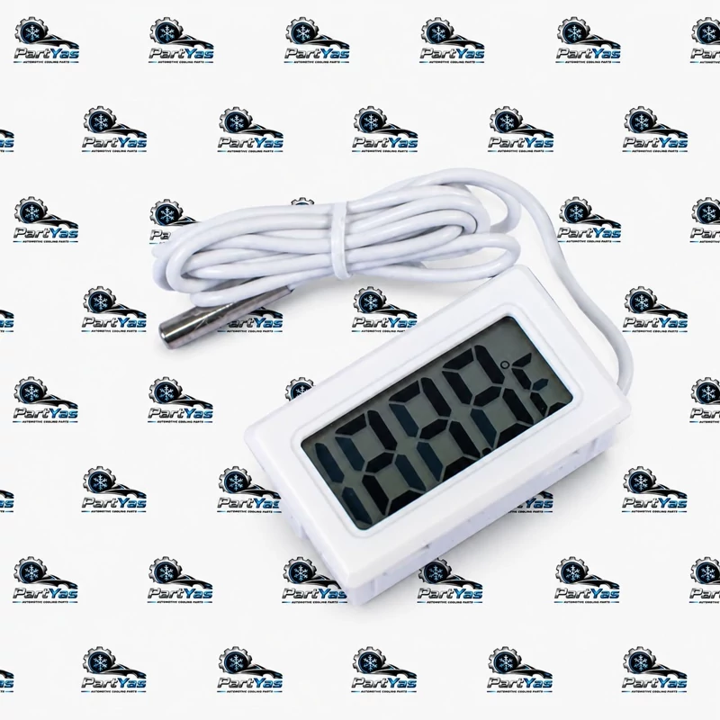دماسنج مدل دیجیتالی